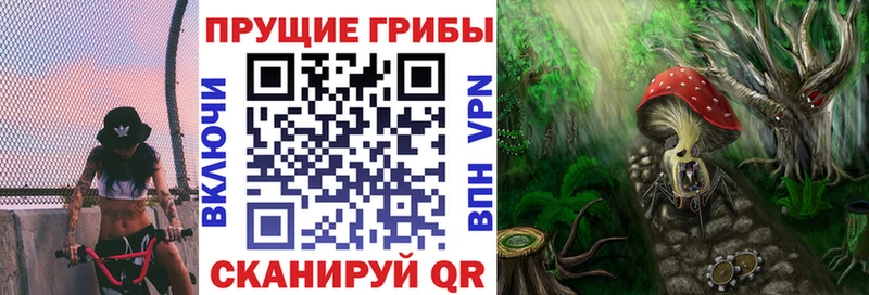 наркота  Ступино  Галлюциногенные грибы Cubensis 